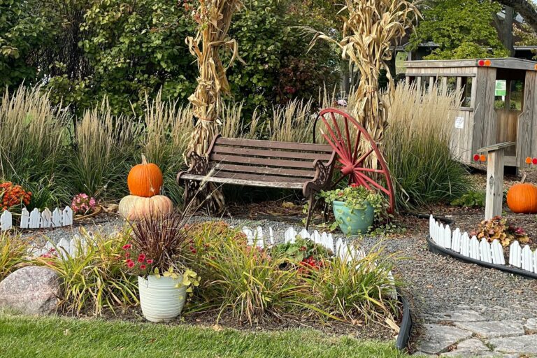 13 Beautiful Garden Ideas on a Budget