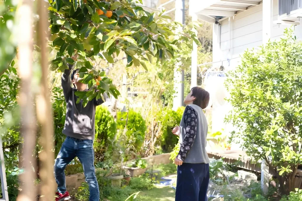 Two gardeners harvesting fruit from mature trees in a sunny backyard, illustrating productive fruit garden types for home landscapes.