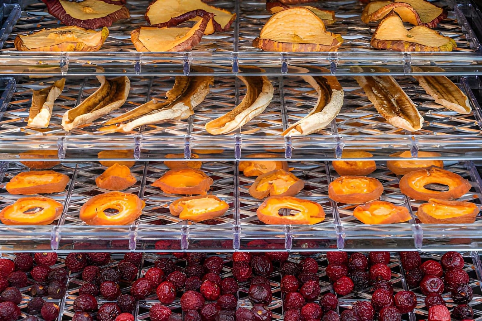 Assorted sliced fruits and vegetables drying on stacked dehydrator trays, including sweet potatoes, bananas, orange fruit slices, and red berries.