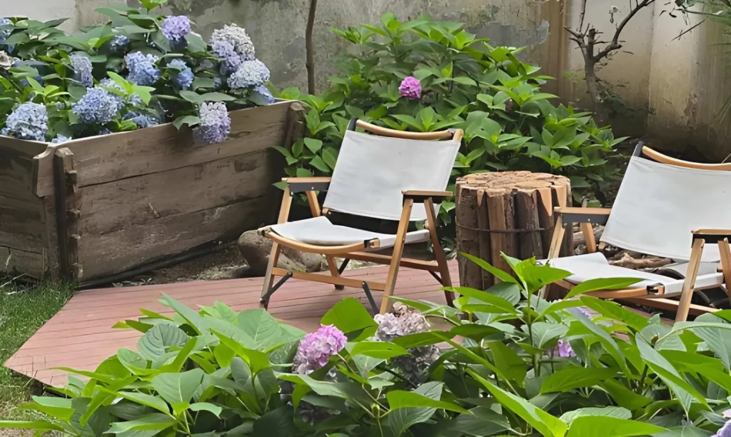 Small backyard garden oasis with a wooden seating deck, lounge chairs, flowering hydrangeas, lush greenery, and a rustic raised garden bed.