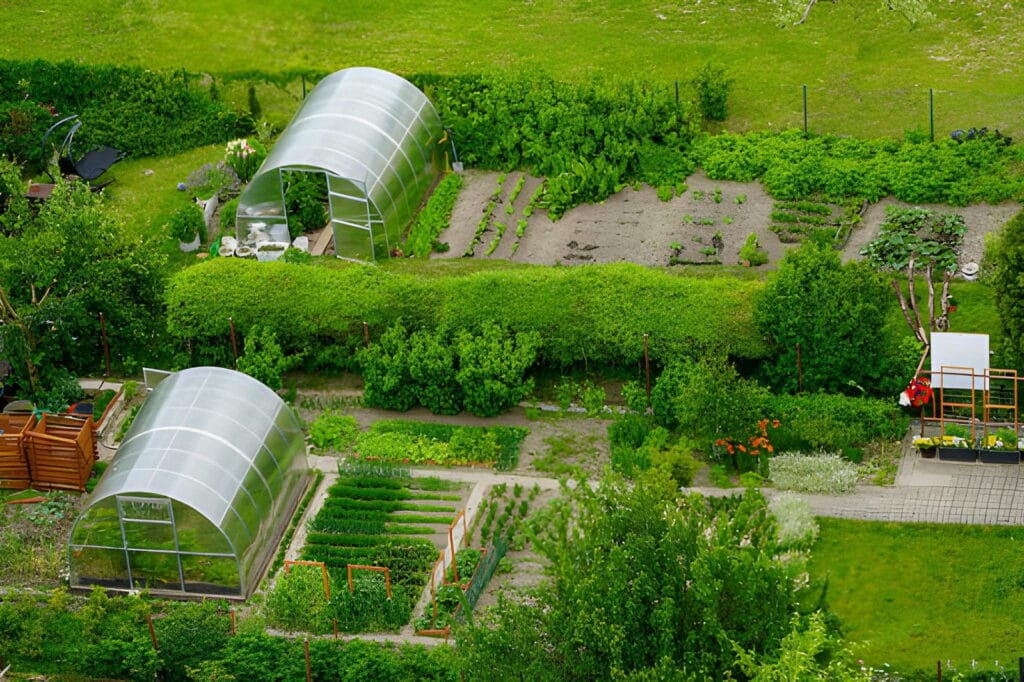 Start with food by growing a simple homesteading for beginners garden with vegetable beds, greenhouses, and easy crops for self-sufficient living.