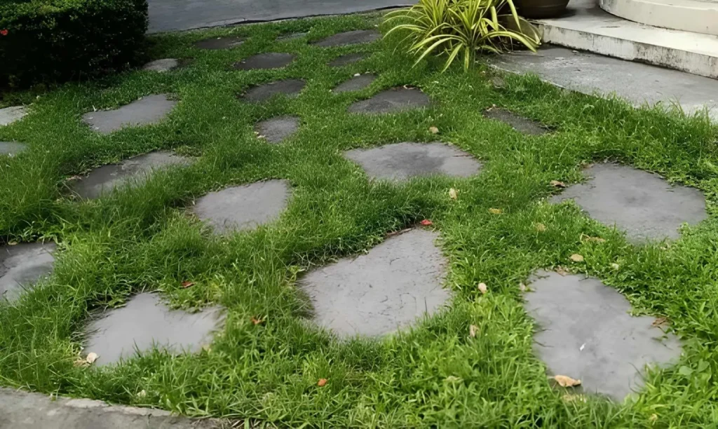Irregular stone stepping path set into green grass, creating a simple space-saving walkway through a small backyard garden.