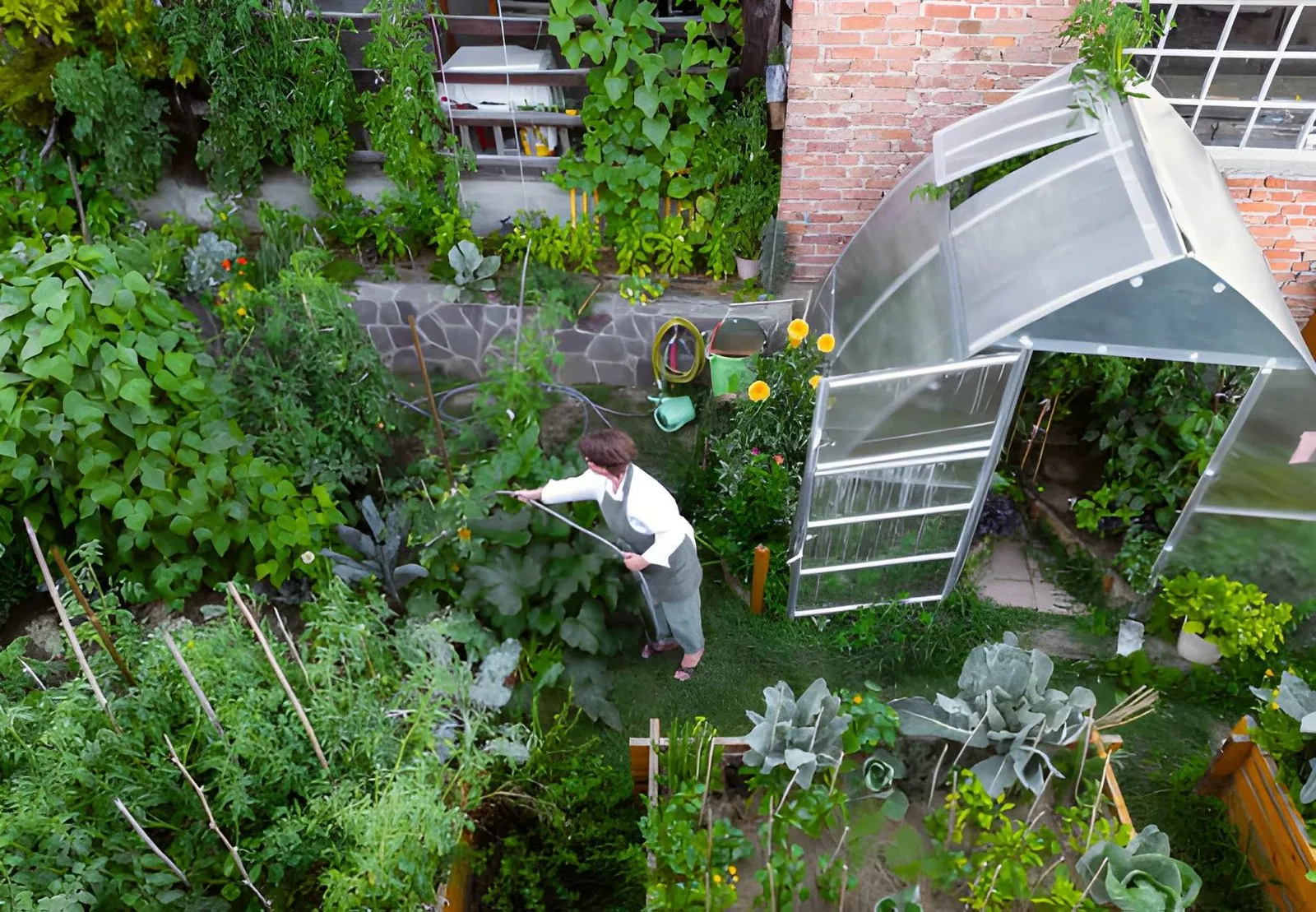 Overhead view of a productive vegetable garden with raised beds, climbing plants and a small greenhouse, illustrating practical garden types for growing food.